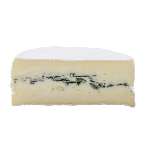 ブルチー様 momose MC-TOCHI WSE'24/NJ HYD-BL-B (Hydrangea Blue Burst)（新品