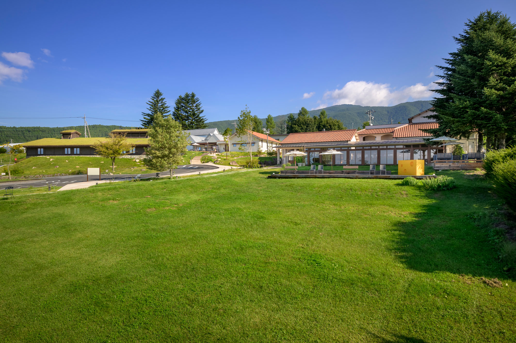 森のチーズテラス